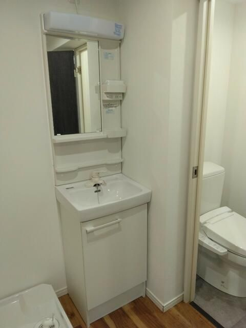 フェリチタ横川の洗面所