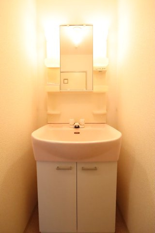 大阪市城東区鴫野西１丁目の賃貸マンションの独立洗面台