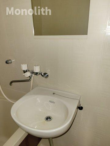 メゾンビューの洗面所