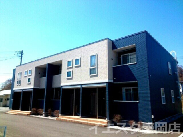 ブーゲンビレア