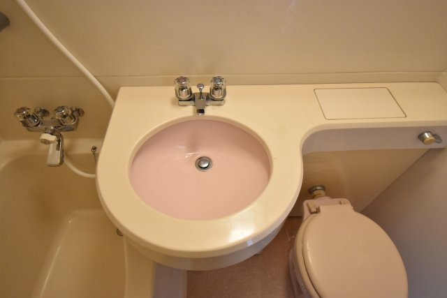 ラ・ハイール住吉の洗面所