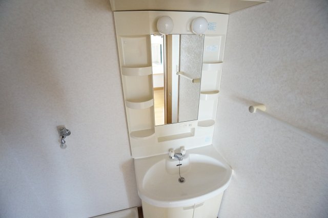 リバティ・ヴィラ　B棟の洗面所