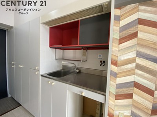 ミニキッチンですが、収納スペース豊富なキッチンです。