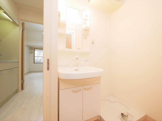 レジデンス・スエヒロ上本町の洗面所