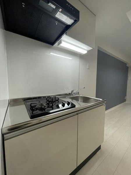 VERITAS SHIRAKANEのキッチン