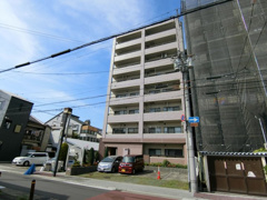 エタプハコネの画像