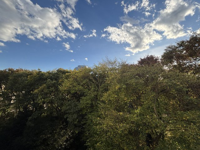 六義園第六コーポの展望