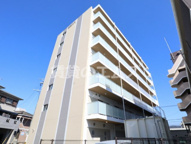 フランディオール桜並木の画像