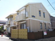 ソシア長谷川の画像