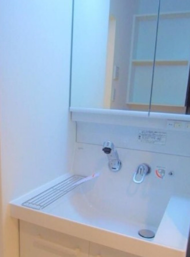 Grande Bene【おとり物件なし】#大井町 #品川区の洗面所