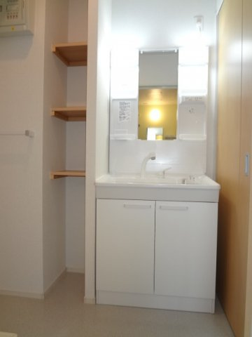 ネオ弐番館の洗面所