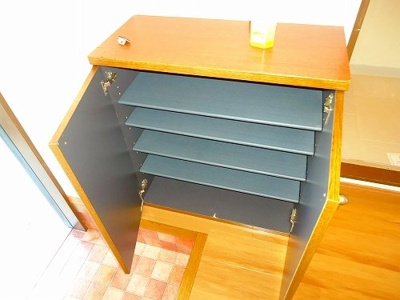 【その他】 | サンフレッチェ南条Ａ