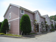 アンジェリークの画像