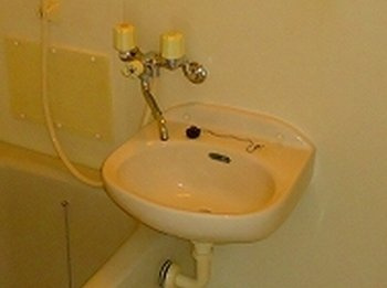 【洗面所】 | サンフレッチェ南条Ａ