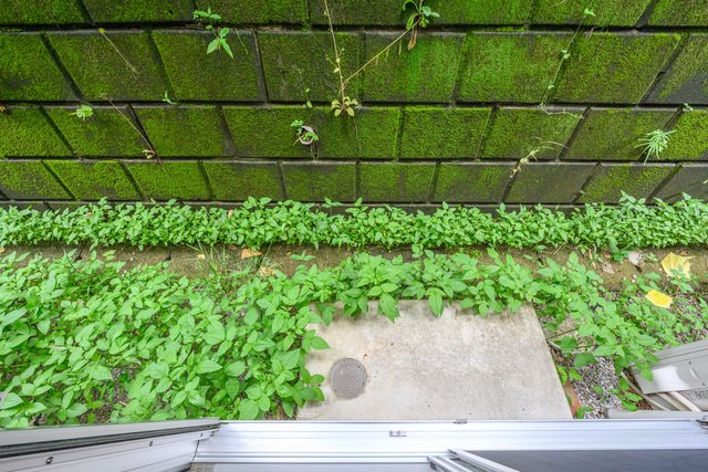 川崎市多摩区西生田５丁目のアパートの展望