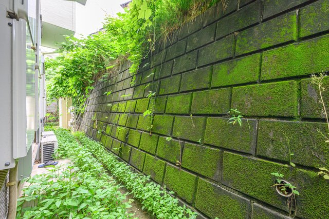 川崎市多摩区西生田５丁目のアパートの展望