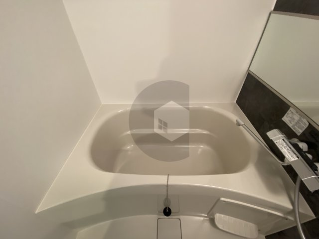 シエーナ若江岩田の浴室