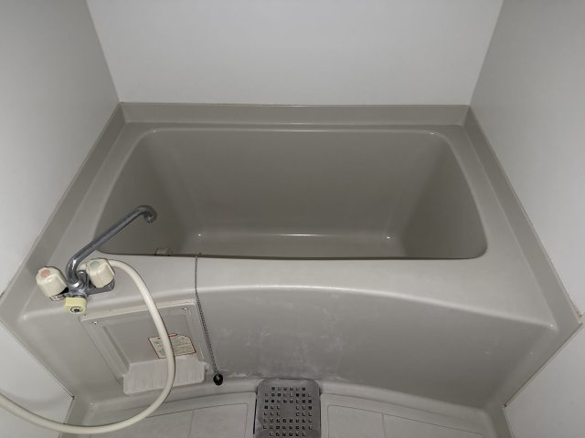 ヴィラ・レグルスの浴室