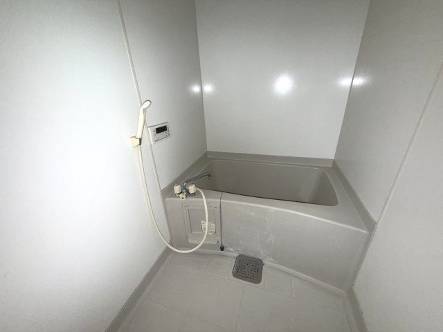 ヴィラ・レグルスの浴室