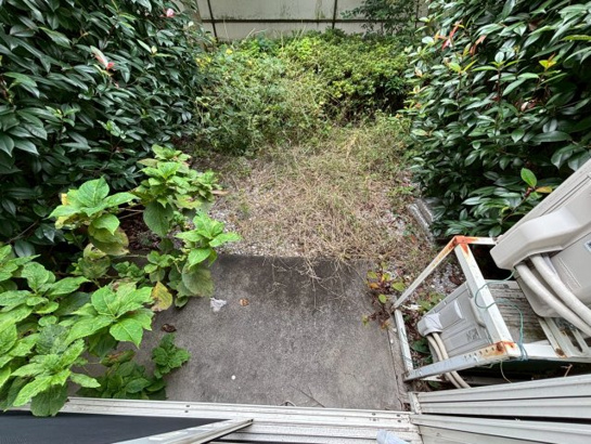 お庭も活用できます 