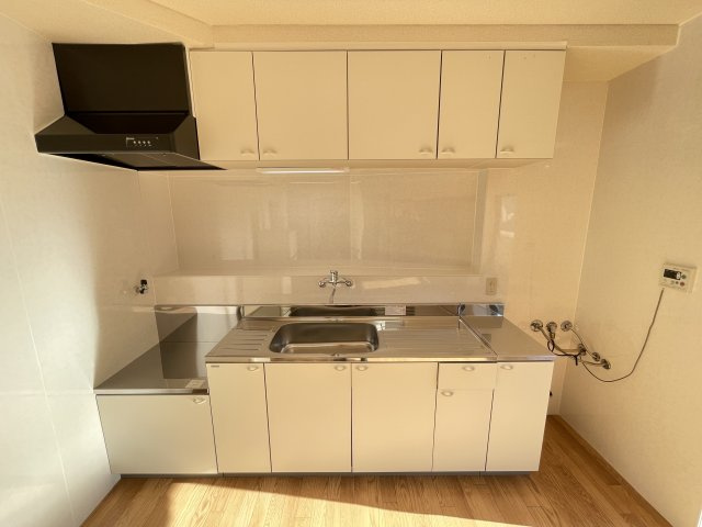 川崎市多摩区菅１丁目の賃貸マンションのキッチン