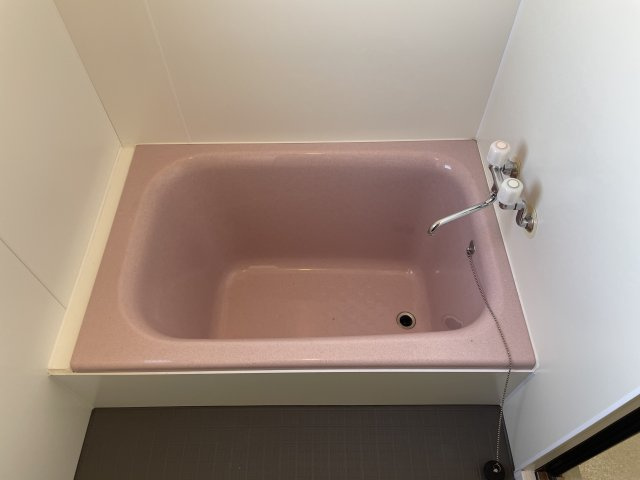 川崎市多摩区菅１丁目の賃貸マンションの浴室