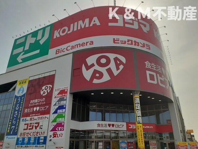 カーサ・アウローラの周辺|ロピア柏コジマ店まで1,300m 