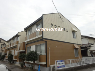 タウニィ・尾上の画像