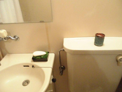 【洗面所】 | モナークマンション上溝弐番館(モナークマンションカミミゾニバンカン)