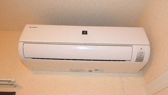 コンフォートのその他