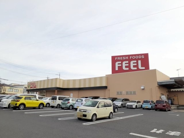 マスコット　ハウスⅡの周辺|フィール 岡崎柱町店まで700m