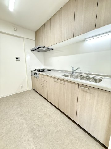 メゾン大蔵のキッチン