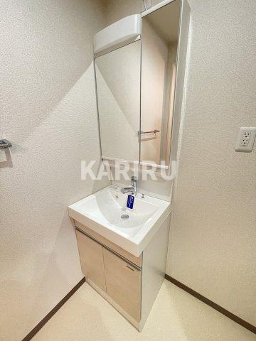 フジパレス横堤Ⅲ番館の洗面所