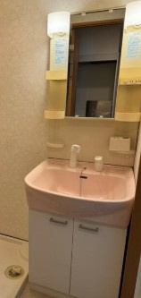 レジデンス戸田公園の洗面所