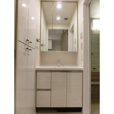 ルフォンプログレ滝野川の洗面所