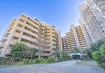 ヴィオスガーデン城山の画像