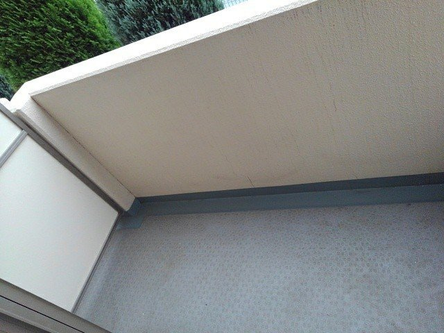 レーヴ　ダンジュ　Ⅰのバルコニー