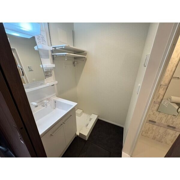 シャルムS岡崎の洗面所