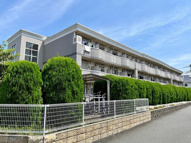 アタラクシアの画像