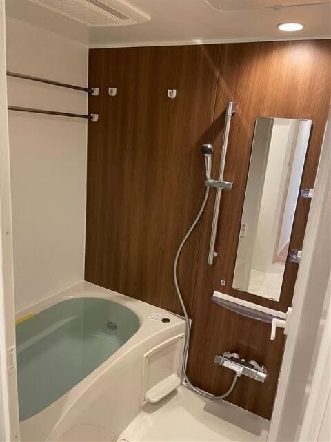 メイクス東向島Ⅱの浴室