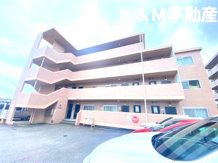 ピュアリティ柏