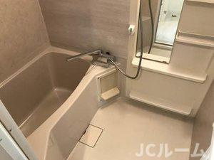 ルミエールK Aの浴室