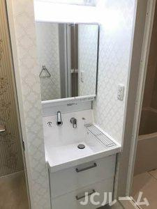 ルミエールK Aの洗面所