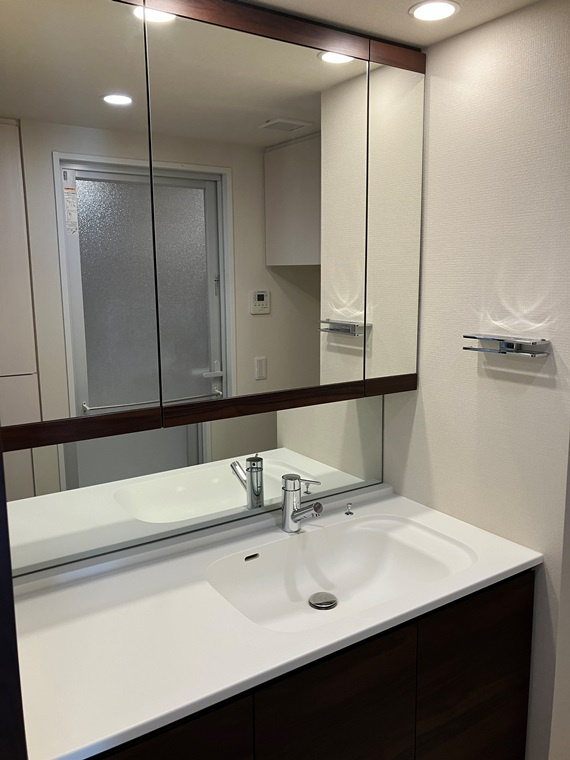 プラウド浦和常盤サンクアージュの洗面所