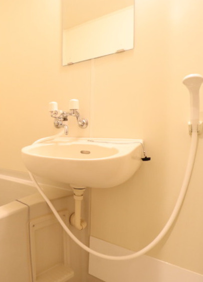 ラフィネ池之端の洗面所