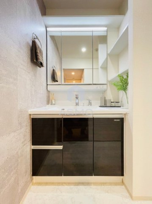 【独立洗面台】 | セイワパレス森ノ宮中央 | 同マンション別部屋参考写真