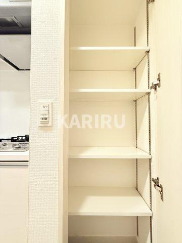 アドバンス大阪城グロリアの収納