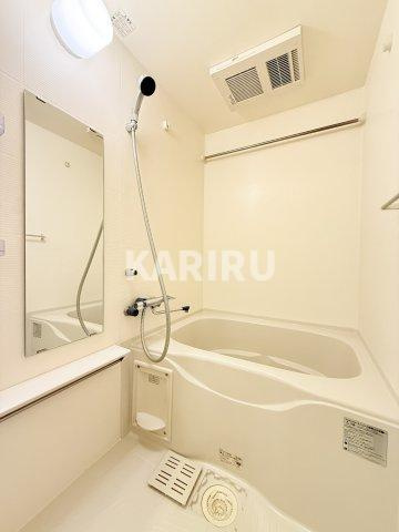 アドバンス大阪城グロリアの浴室