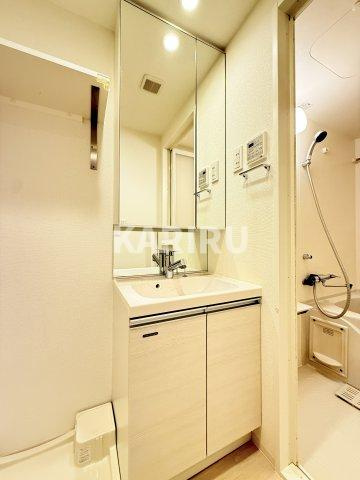 アドバンス大阪城グロリアの洗面所