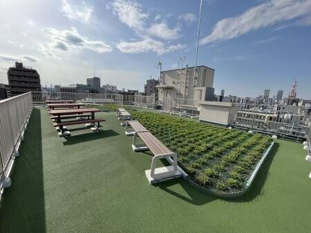 ザ・オベリスクイマド